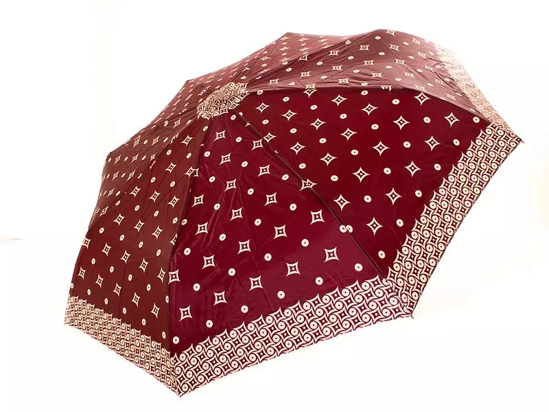 Doppler Umbrellas (60 foto's): Vrouwelijke modellen Cane and Folding, Doppler beoordelingen 15227_4