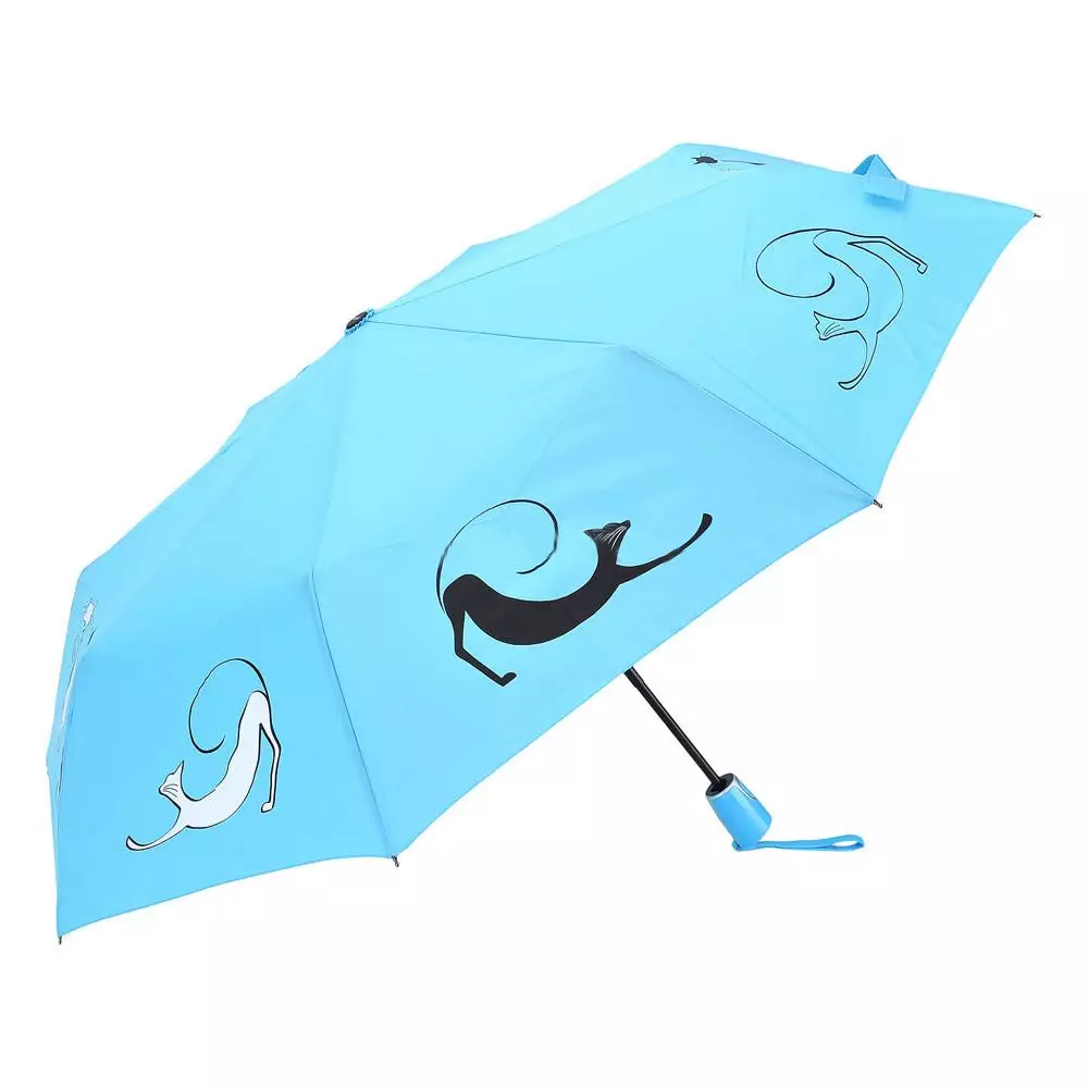 Doppler Umbrellas (60 foto's): Vrouwelijke modellen Cane and Folding, Doppler beoordelingen 15227_42