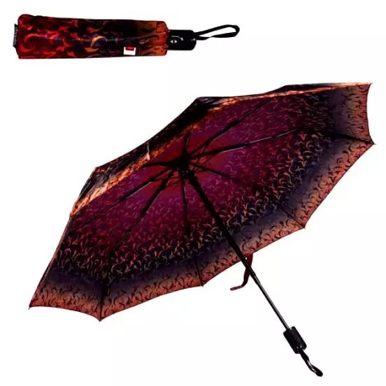 Doppler Umbrellas（60张照片）：女性型号甘蔗和折叠，多普勒评论 15227_43