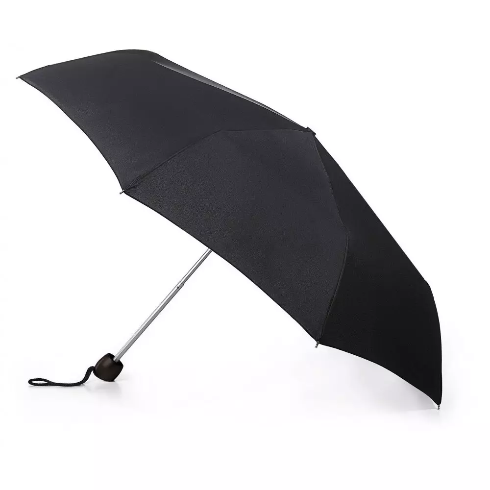 Fulton Guarda-chuvas (53 fotos): Características dos modelos e avaliações sobre guarda-chuvas 15229_10
