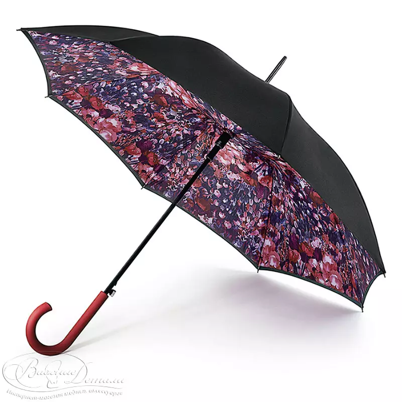 Fulton-pluvombreloj (53 fotoj): ecoj de modeloj kaj recenzoj pri Umbrellas 15229_4