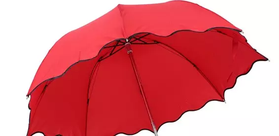 چوڭ umbrellas (61 سۈرەت): يامغۇر دىن چوڭ күнлүк қомуш 15230_18