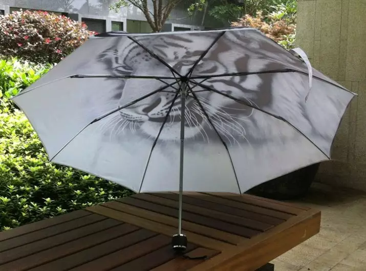 چوڭ umbrellas (61 سۈرەت): يامغۇر دىن چوڭ күнлүк қомуш 15230_21