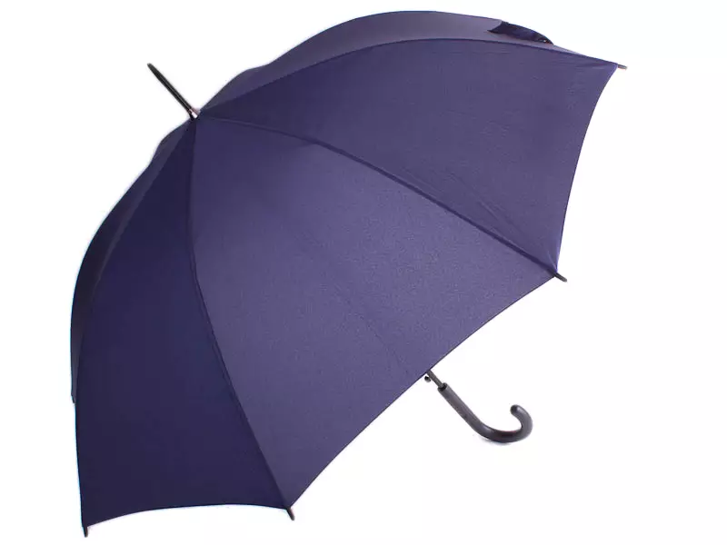 Store paraplyer (61 billeder): Den største paraplybe fra regnen 15230_24