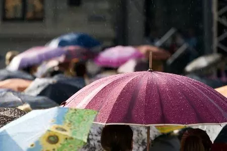 Големи чадори (61 фотографии): најголемиот чадор трска од дождот 15230_26