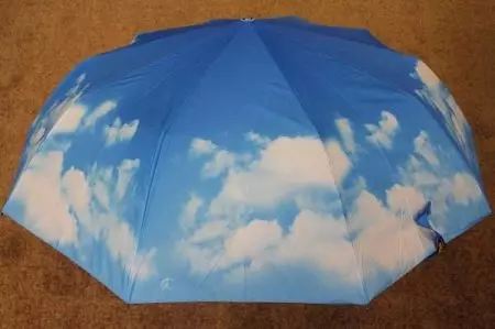 چوڭ umbrellas (61 سۈرەت): يامغۇر دىن چوڭ күнлүк қомуш 15230_36