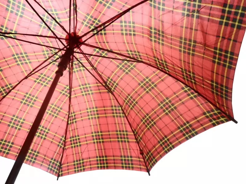 Големи чадори (61 фотографии): најголемиот чадор трска од дождот 15230_39