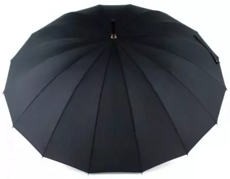 چوڭ umbrellas (61 سۈرەت): يامغۇر دىن چوڭ күнлүк қомуш 15230_55