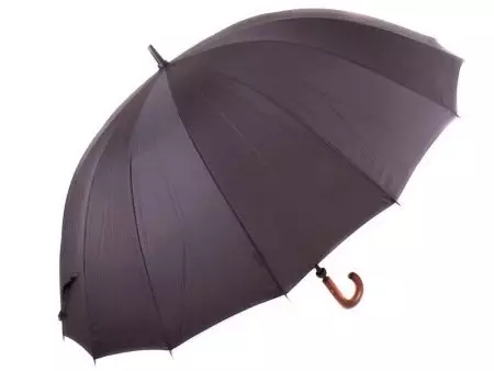 چوڭ umbrellas (61 سۈرەت): يامغۇر دىن چوڭ күнлүк қомуш 15230_57