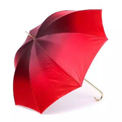 Pasotti umbrellas (55 photos): Features na mata model 15232_24