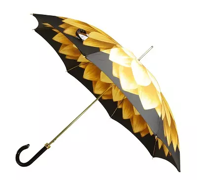 Pasotti umbrellas (55 photos): Features na mata model 15232_29
