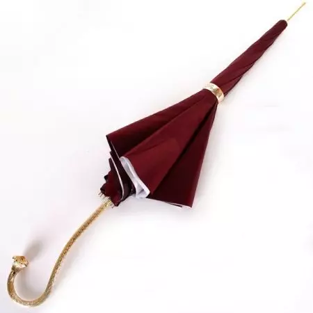 Pasotti umbrellas (55 photos): Features na mata model 15232_30