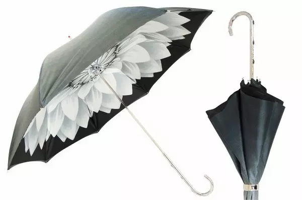 Pasotti umbrellas (55 photos): Features na mata model 15232_33
