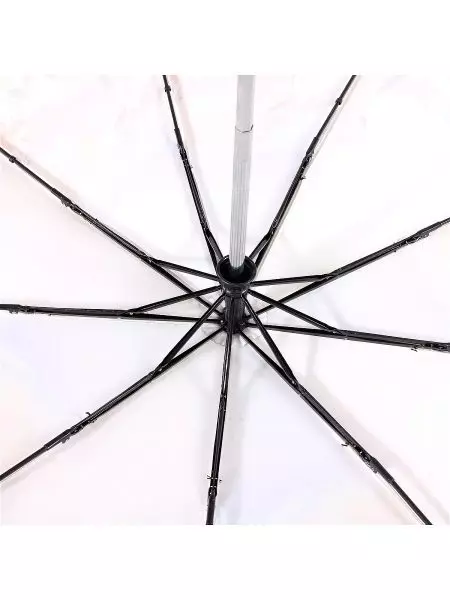 가벼운 우산 (74 사진) : 여성 모델 15234_46