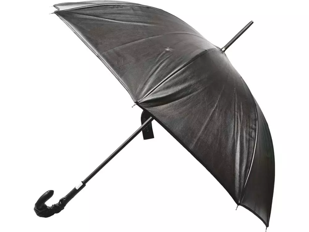 Luxury umbrellas (44 photos): Dear women's elite models 15235_11