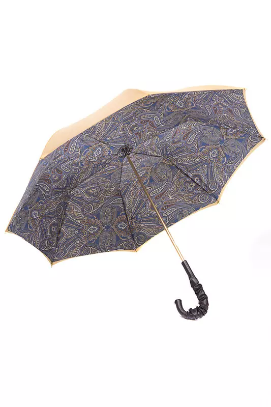 Luxury umbrellas (44 photos): Dear women's elite models 15235_33