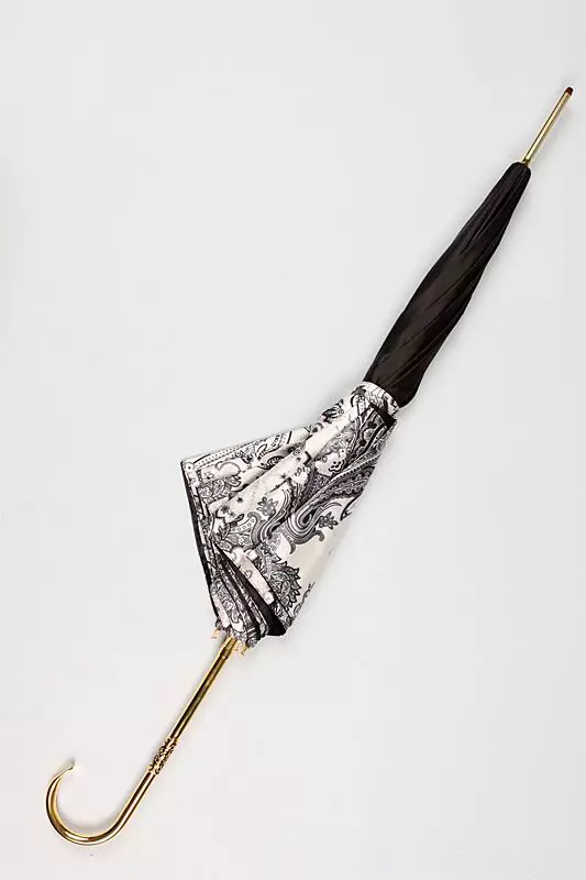Luxury umbrellas (44 photos): Dear women's elite models 15235_42
