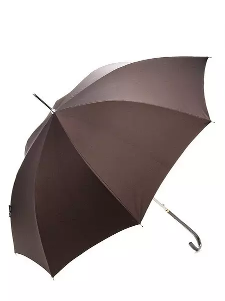 Umbrella Cane (67 fotografij): Črni modeli z logotipom in rezilom 15237_52