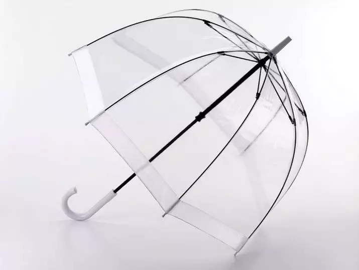 Umbrella Cane (67 fotografij): Črni modeli z logotipom in rezilom 15237_59