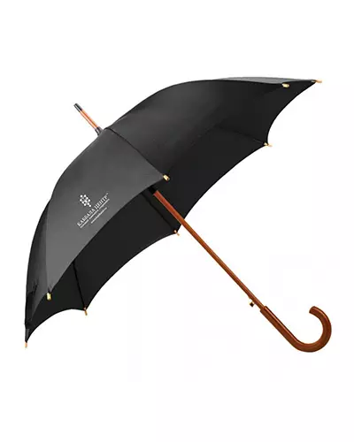 Umbrella Cane (67 fotografij): Črni modeli z logotipom in rezilom 15237_8