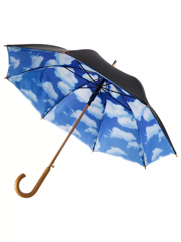 Suno ombrelo (72 fotoj): Virina puntoj penetritaj ombrelo-bastonon 15238_49