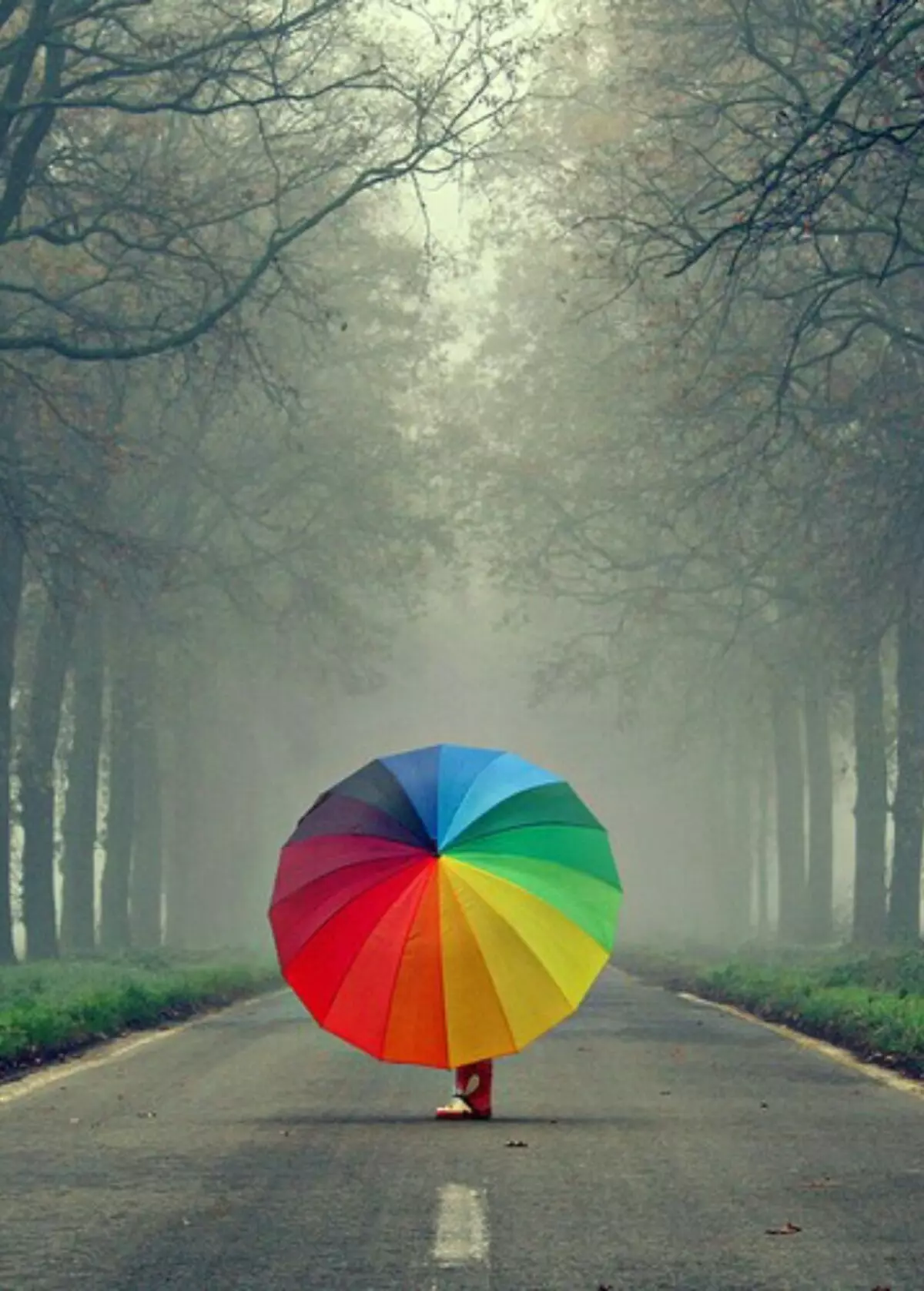 Вдруг на яркой полосе. Фото с радужным зонтом. Радуга эмоций. Летний дождь природа Радуга зонтик. Позитив с яркими зонтиком.