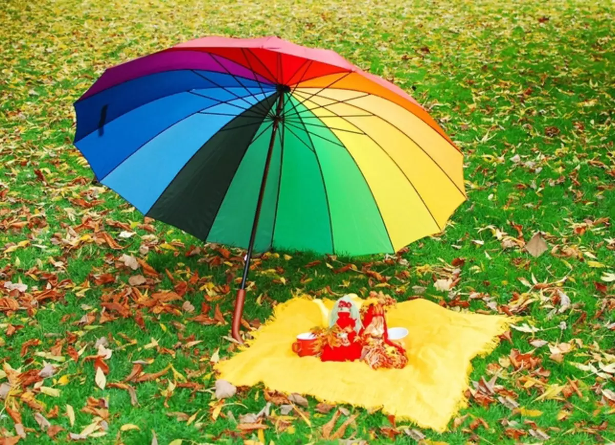 Rainbow regnhlífar (50 myndir): Multicolored Cane og Breyting Litur Folding Umbrella-Rainbow 15239_27