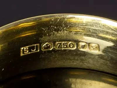 750 Campione: cos'è questo metallo e cosa sembra? Le sue proprietà, applicazione e peculiarità della cura del prodotto 15311_10