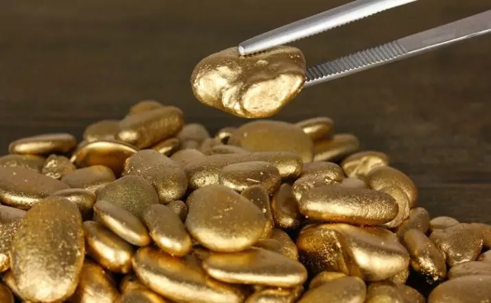 Злато од камена (21 фотографија): Како да добијете злато од камена код куће? Шта је камење садржано и како изгледа? АФФИНАГЕ из ПИРИТЕ-а 15333_11