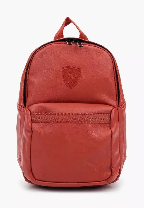 Mochilas da cidade: Melhores mochilas elegantes das mulheres para a cidade, top têxteis elegantes casuais e outros modelos, visão geral das opções mais convenientes. 15350_62