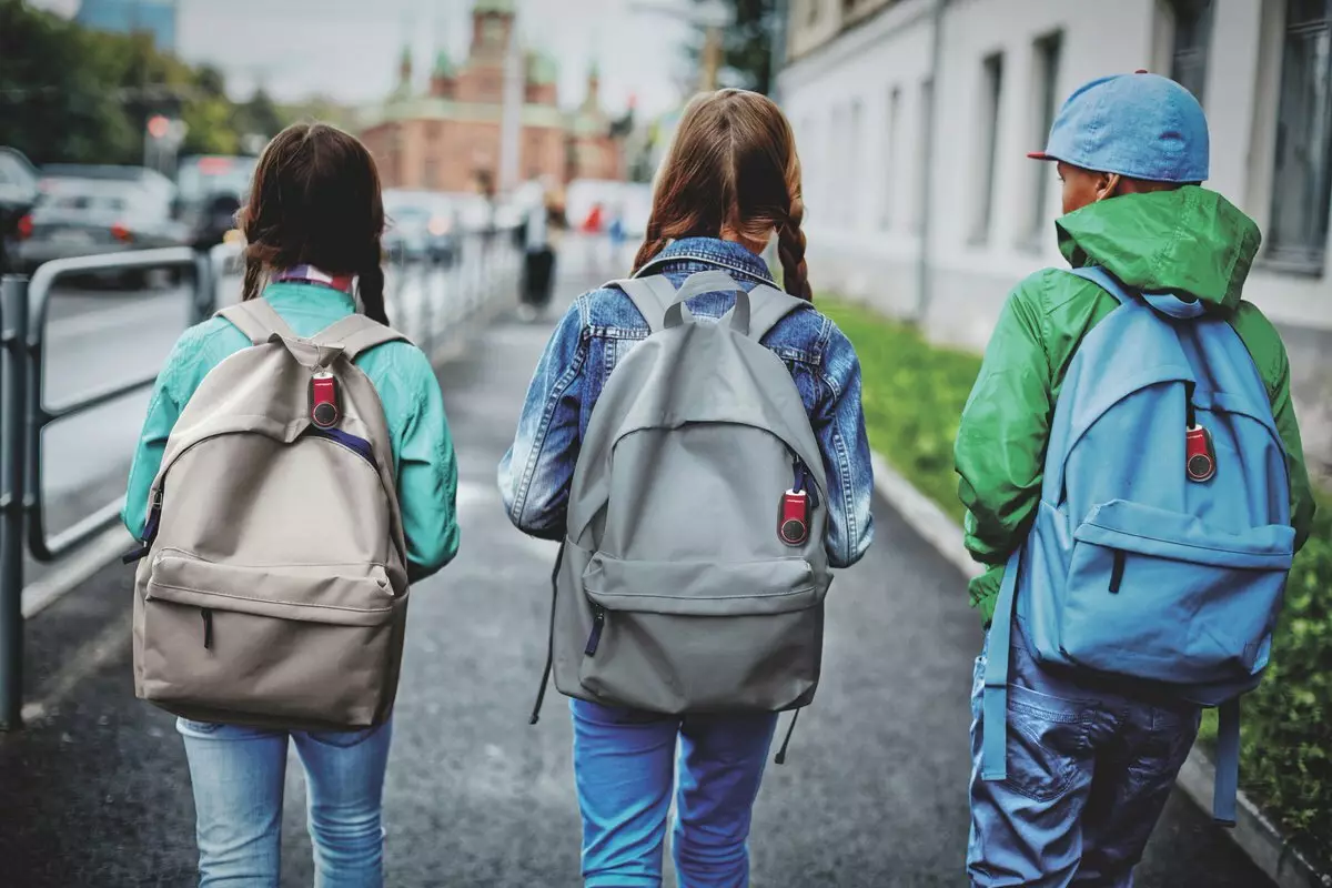 Ryggsäckar för betyg 6: Skolmodeller för tjejer och pojkar, granskning av moderna vackra ryggsäckar för tonåringar till skolan 15382_3