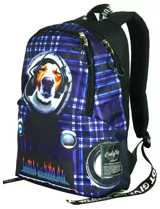 Backpacks UFO People: School and Casual, For Girls and Boys, With Anatomical and Other Back, Reviews 15400_13