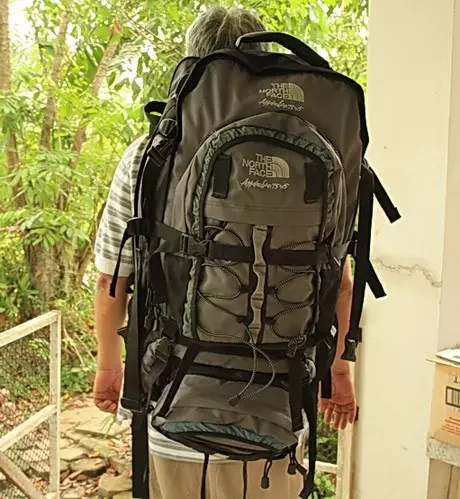 Backpacks Ang North Face: Backpacks-bags at urban backpacks, dilaw at itim na mga modelo, berde at asul, pula at iba pa 15407_39