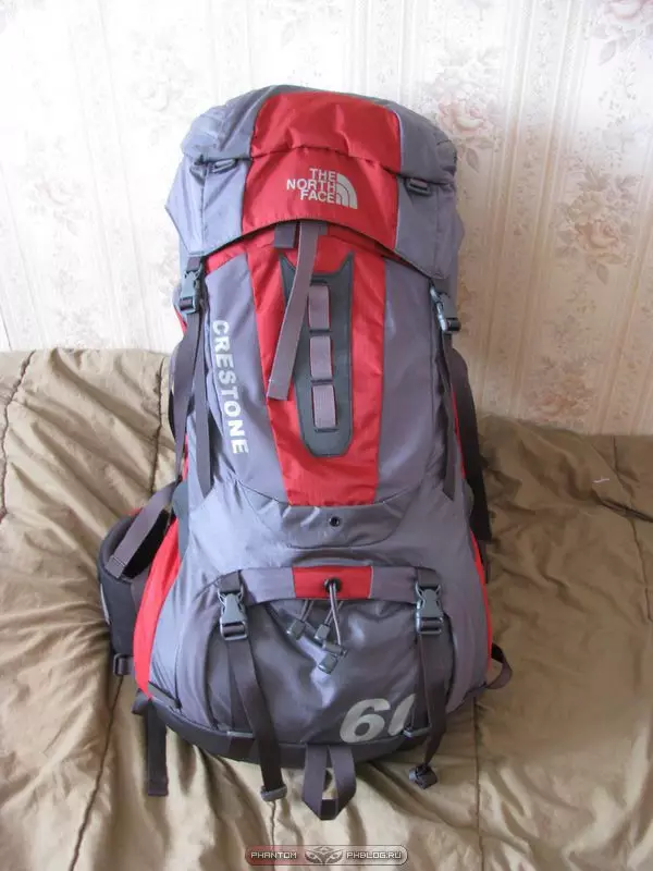 Backpacks ჩრდილოეთ სახე: Backpacks- ჩანთები და ურბანული ზურგჩანთები, ყვითელი და შავი მოდელები, მწვანე და ლურჯი, წითელი და სხვა 15407_49
