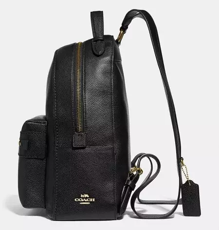 Antrenör sırt çantaları: Bayanların kahverengi sırt çantaları ve diğer modeller, inceleme yorumları 15415_2
