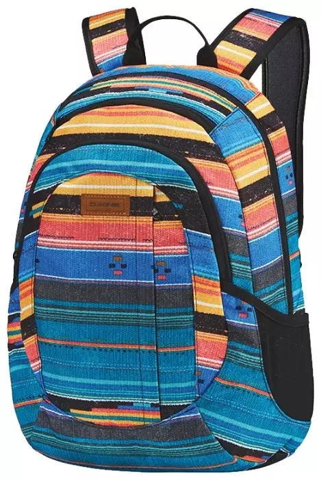 Dakine Mochilas: Pastagens de mulheres e homens, urbanos e esquis, para snowboard e laptop, em uma gaiola e azul, preto e outros modelos 15429_11