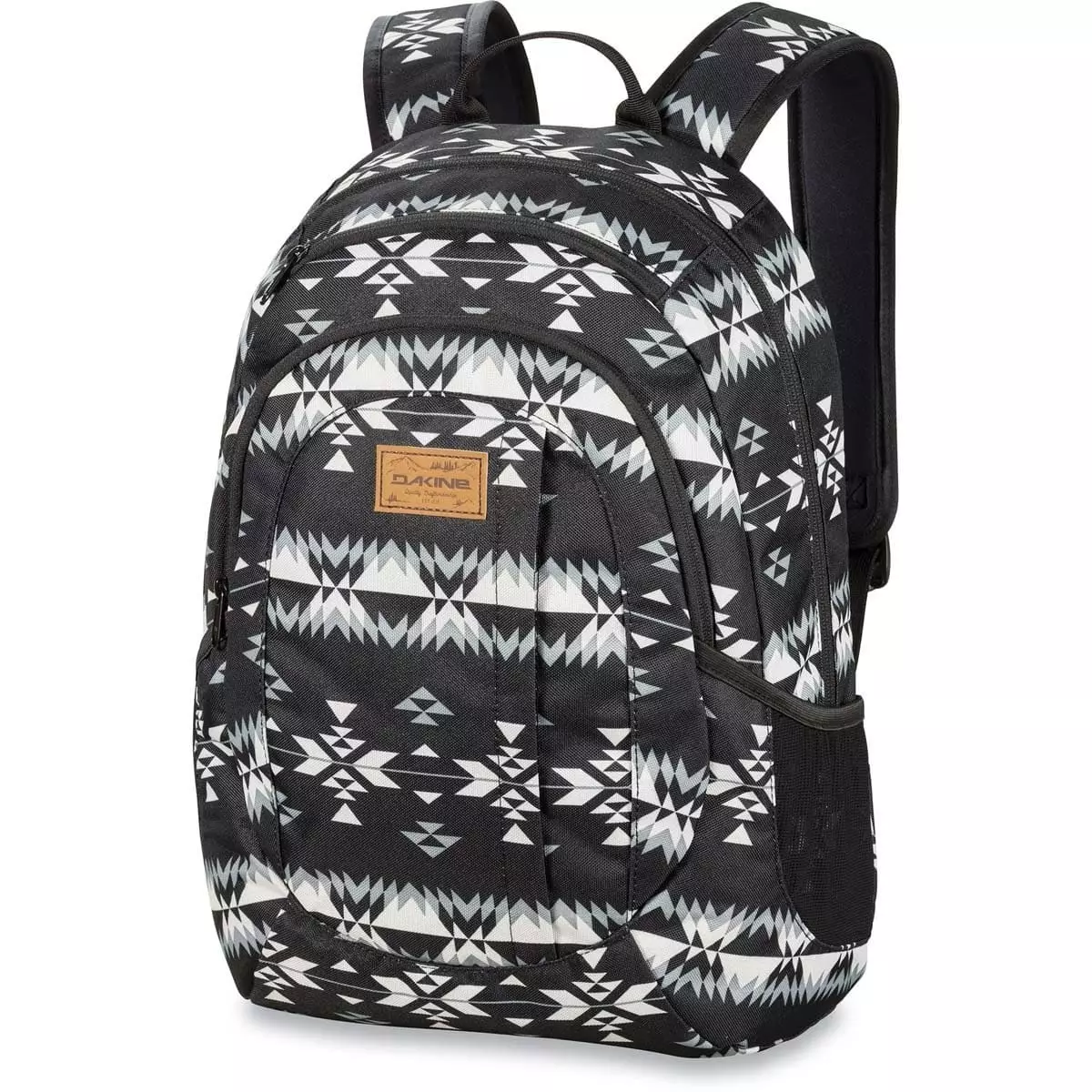 Dakine Mochilas: Pastagens de mulheres e homens, urbanos e esquis, para snowboard e laptop, em uma gaiola e azul, preto e outros modelos 15429_16