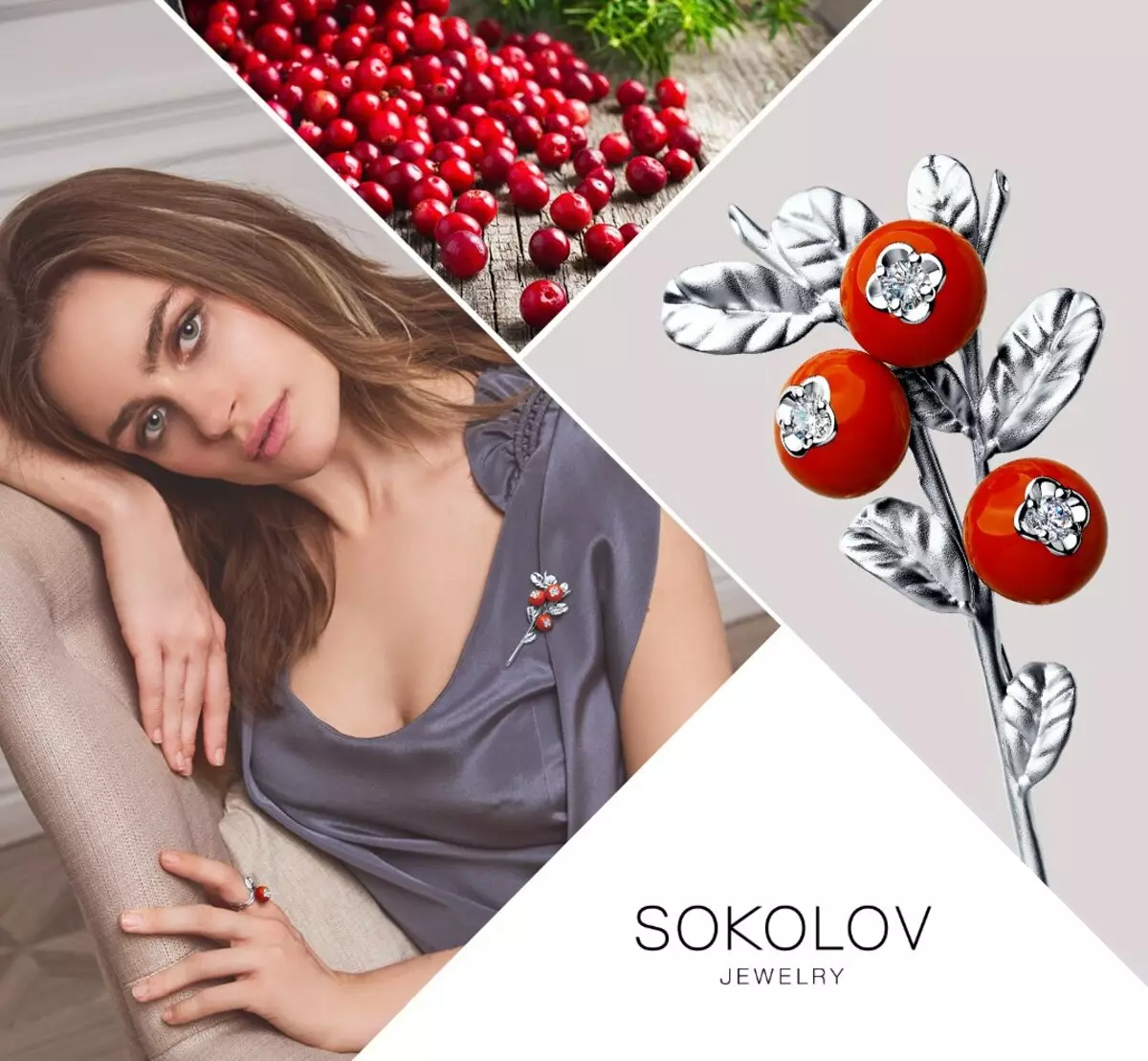 Sokolov Brooches (36 fotografija): Modeli srebra, popularnih srebrnih brootova - leptir, hummingbird, firebird 15526_29