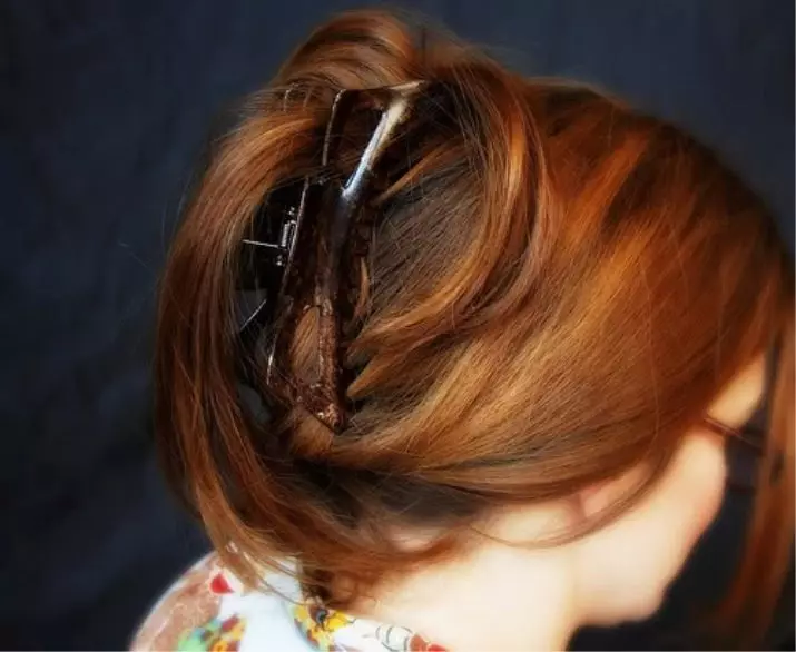 Barrito de pelo de cangrejo (60 fotos): qué peinados se pueden hacer con una cuadrícula, desde Kanzashi, moda en pequeñas parrillas Subasticio 15535_2