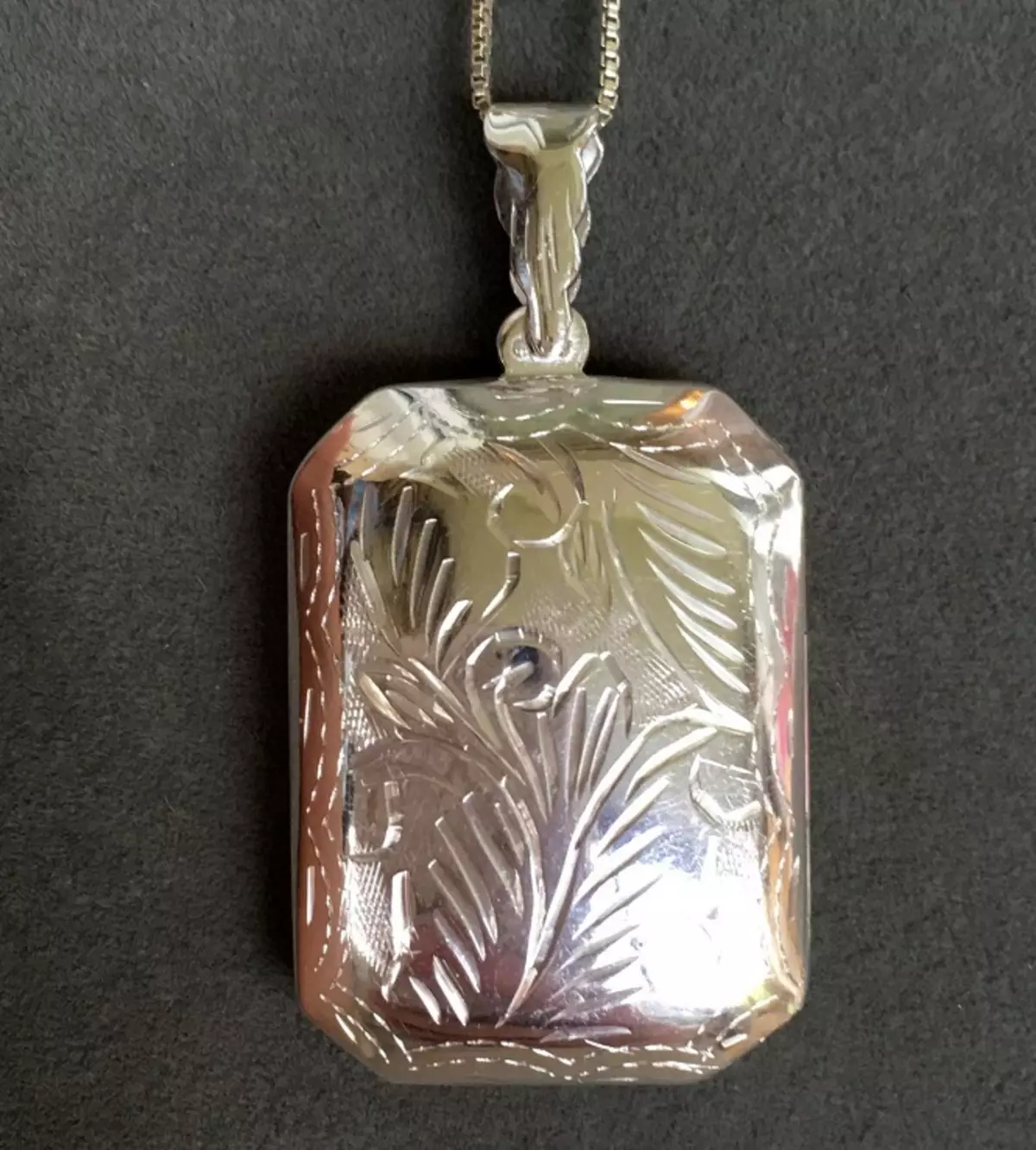 Fotoqrafiya asılı (62 şəkil): açılış qızıl kulon, bir ürək şəklində, gümüş kulon 15552_37