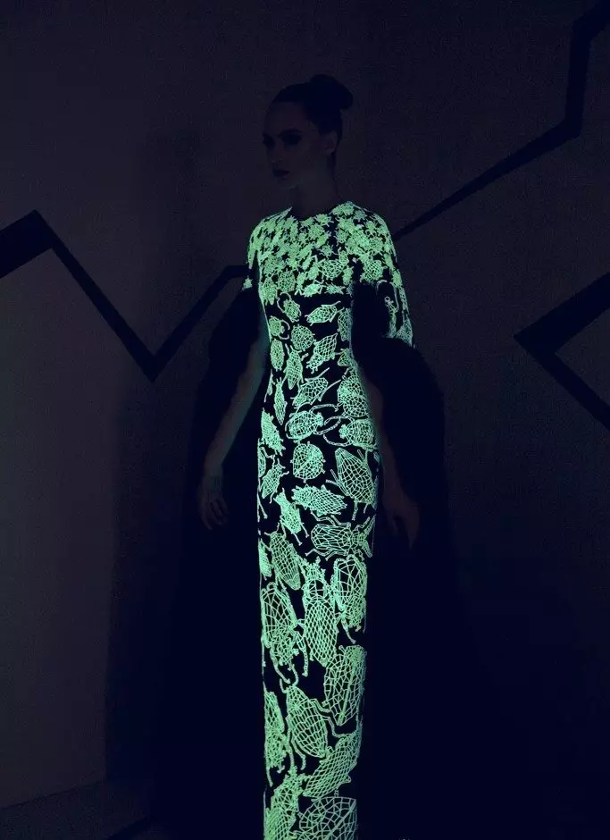 evening dress luminous case