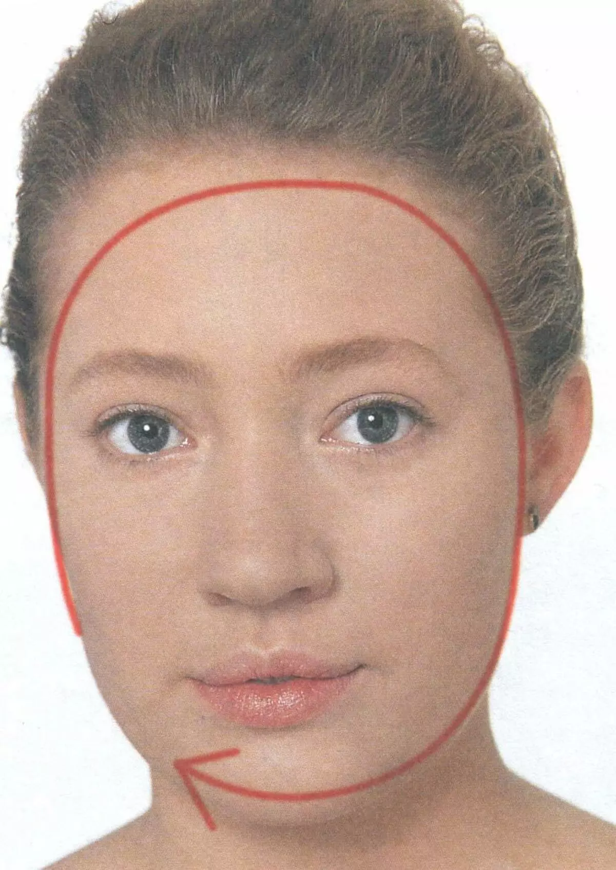 Овальный лоб. Круглые брови. Форма бровей для круглого лица. Круглая форма лица. Овальные брови.