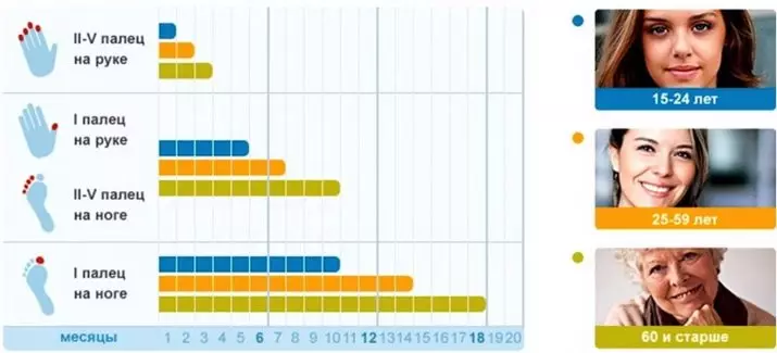 Як швидко ростуть нігті? На скільки відростають нігті за місяць і з якою швидкістю? Причини зростання нігтів вниз, вгору і хвилями на руках? 15811_10