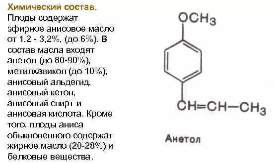 Anis-öljy: Hiusten eteerisen öljyn käyttöohjeet ja ominaisuudet 15849_4
