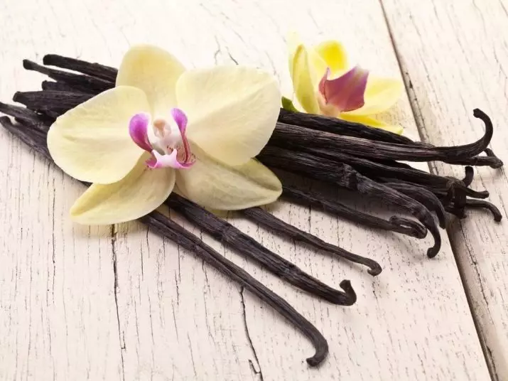 Minyak Essentia Vanilla: Hartanah dan Penggunaan Minyak Rambut Vanilla, Ulasan 15852_4