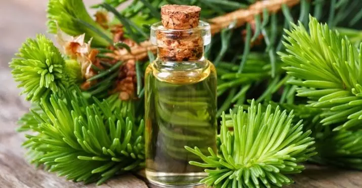 松树精油：治疗性能和杉木头发和面部的使用。如何让它回家？评论 15854_19