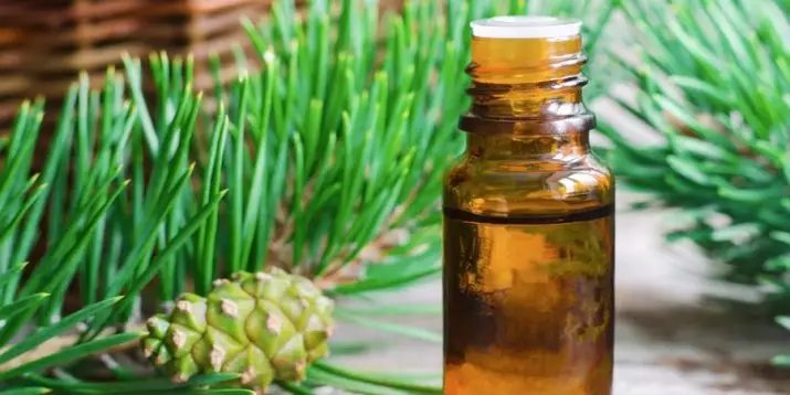 Pine essential oil: therapeutic properties and the use of pine hair and face. How to make it home? Reviews 15854_7