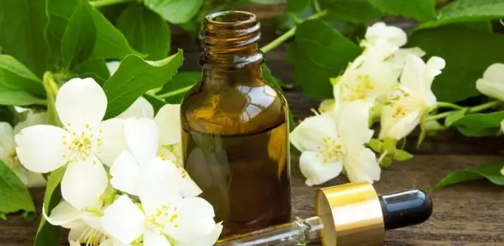 Jasmine Essential Oil: Egenskaper och applikation för ansikte och hår, recensioner 15862_16