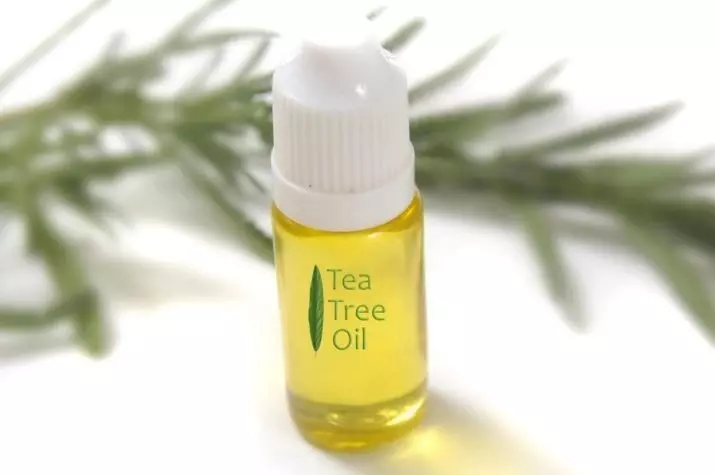 Oil Tree Tree từ Nail Fungus: Áp dụng tinh dầu để xử lý nấm trên ngón tay và chân, đánh giá 15870_9