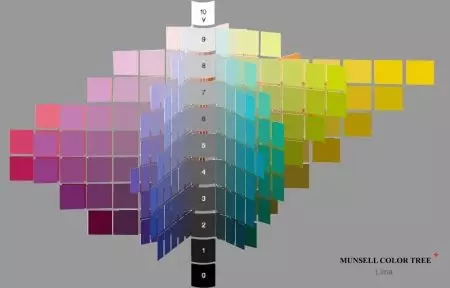 Как да се определи вашия цвят (109 снимки): примери за определянето на цвета на лицето, косата и появата на метода на директория, изберете дрехи 15875_47